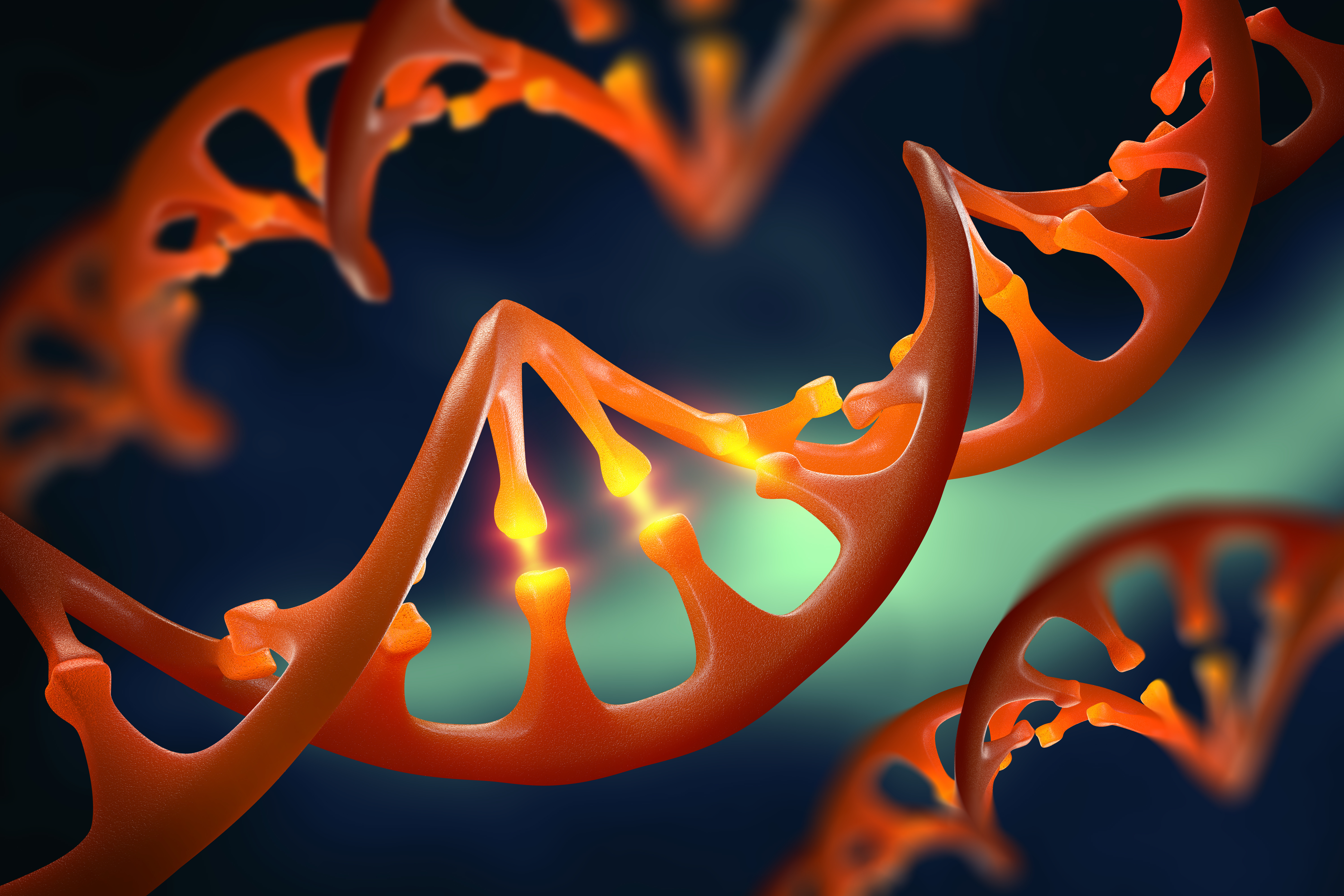 DNA strands