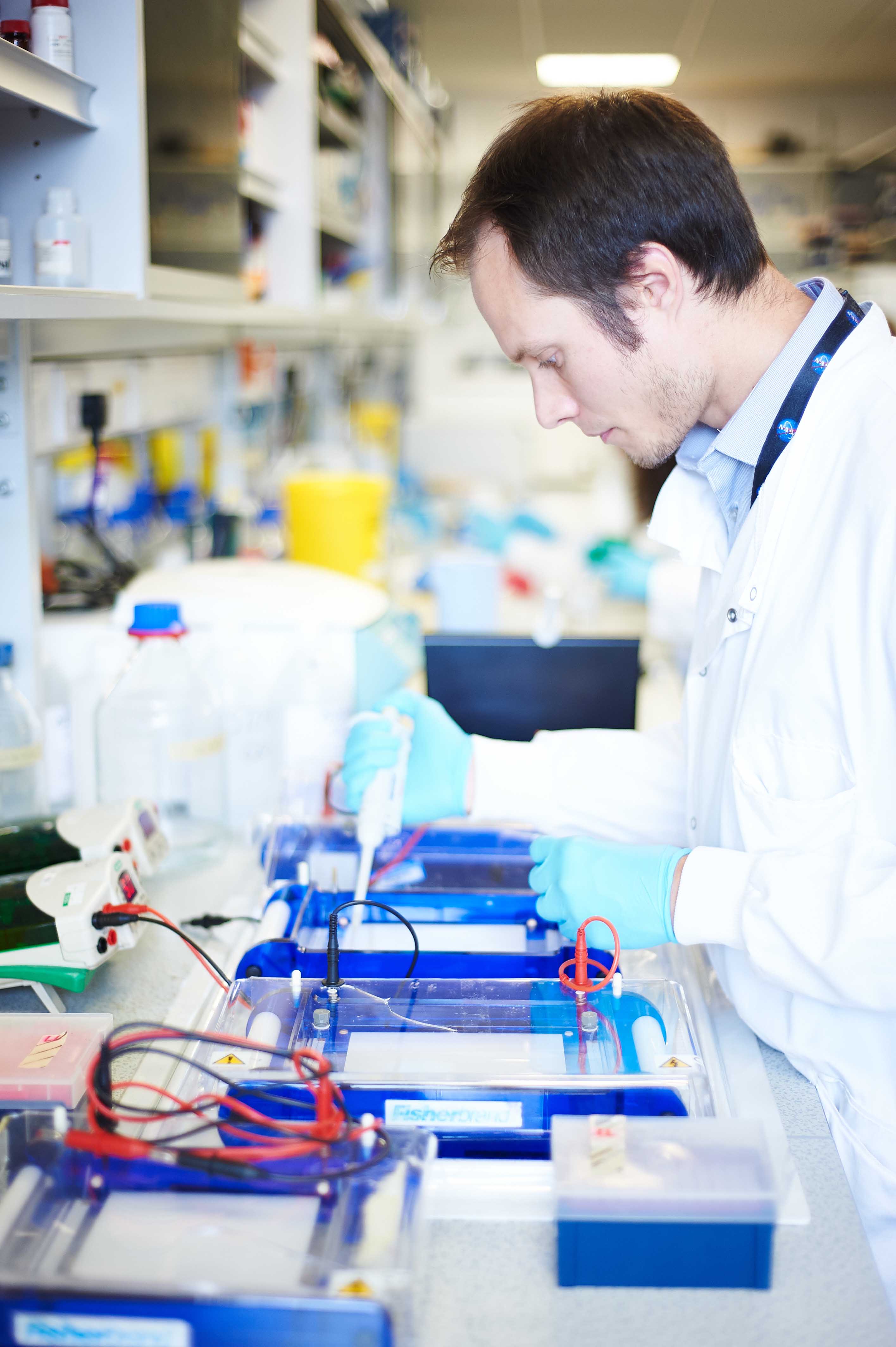 Research features primary image