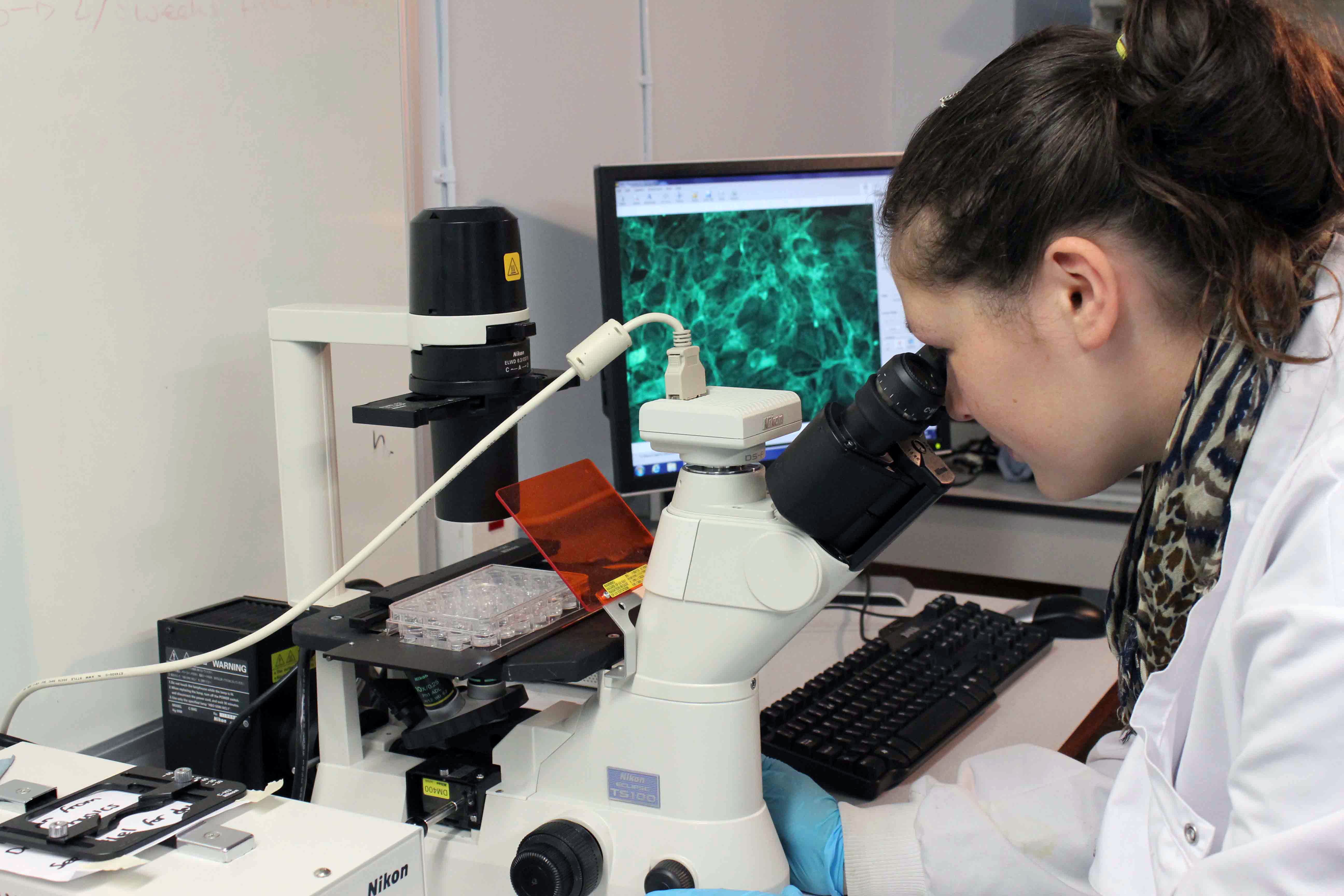 Researcher looking into microscope. Liverpool