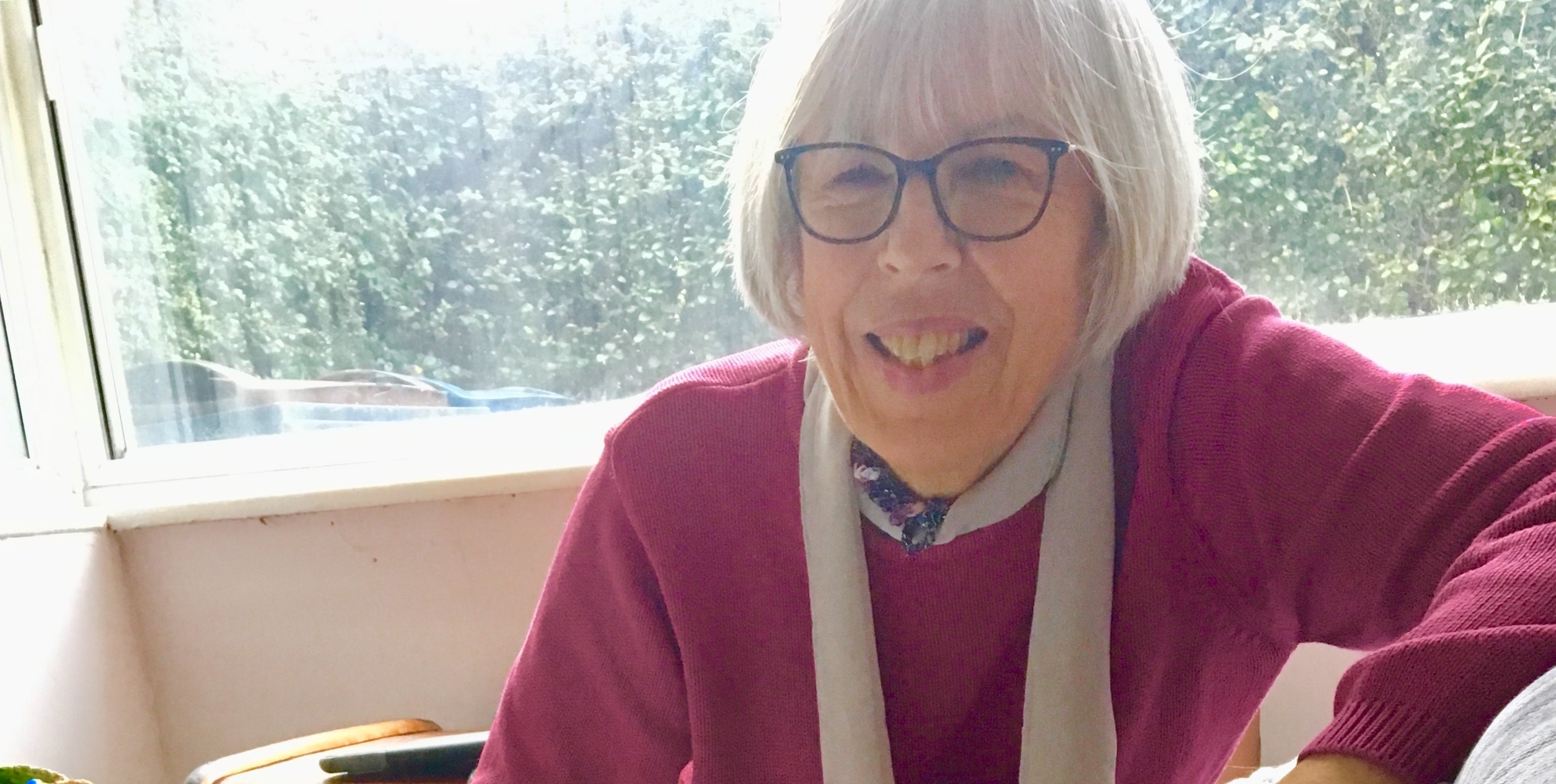 Caroline Noall, volunteer, skills for seeing