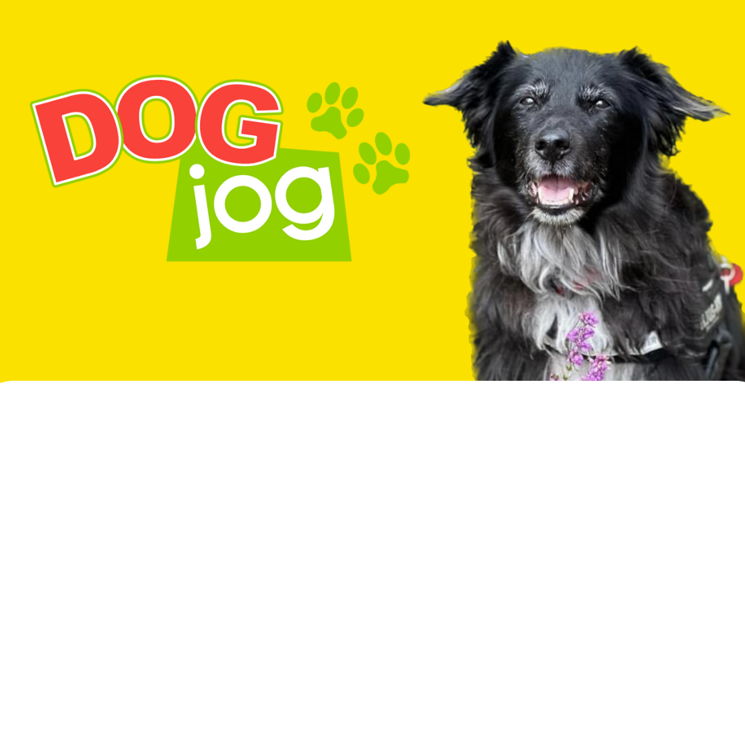 Dog Jog Virtual Challenge 2025 primary image