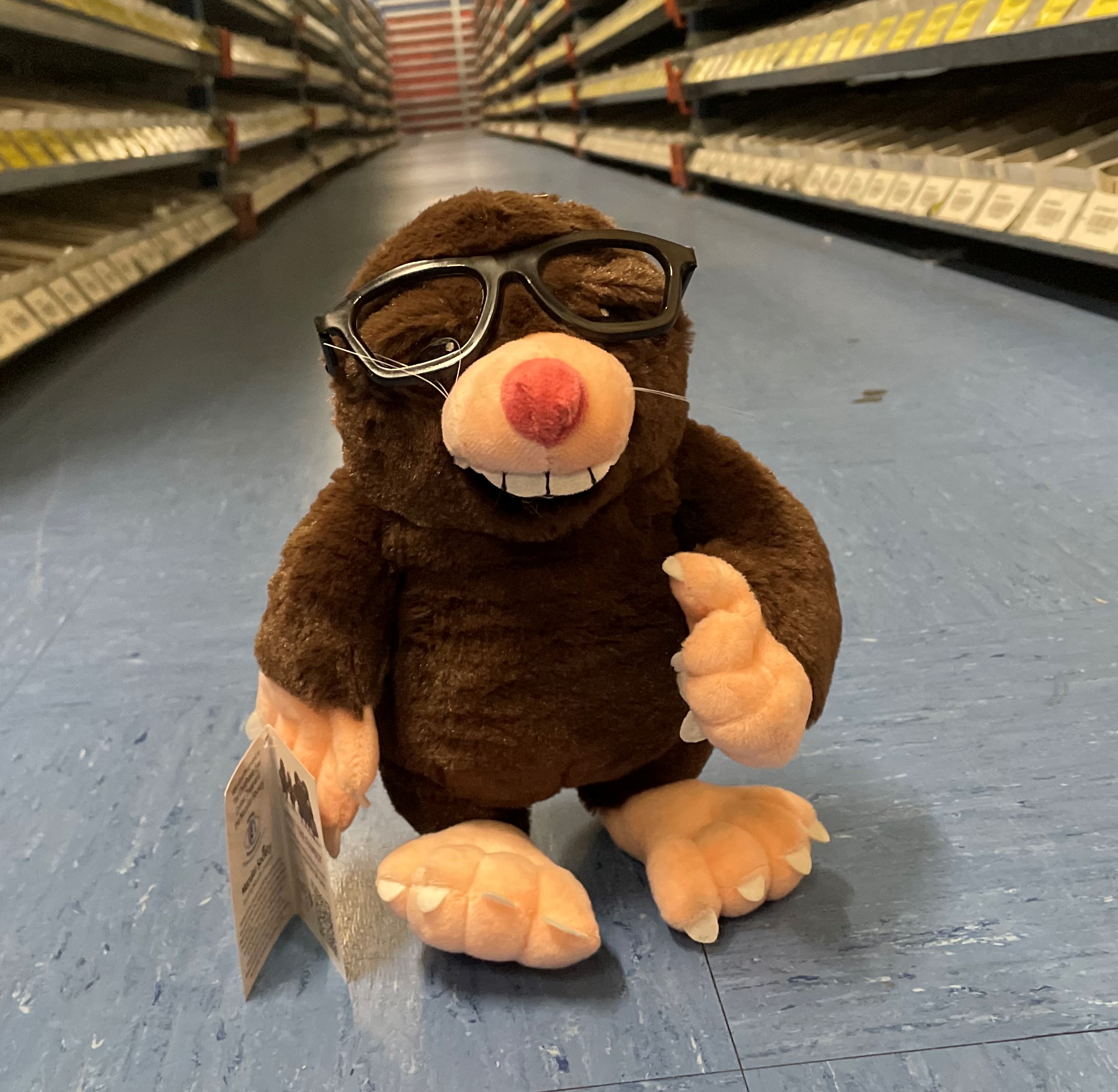 Marvin the Mole, Vision Express 