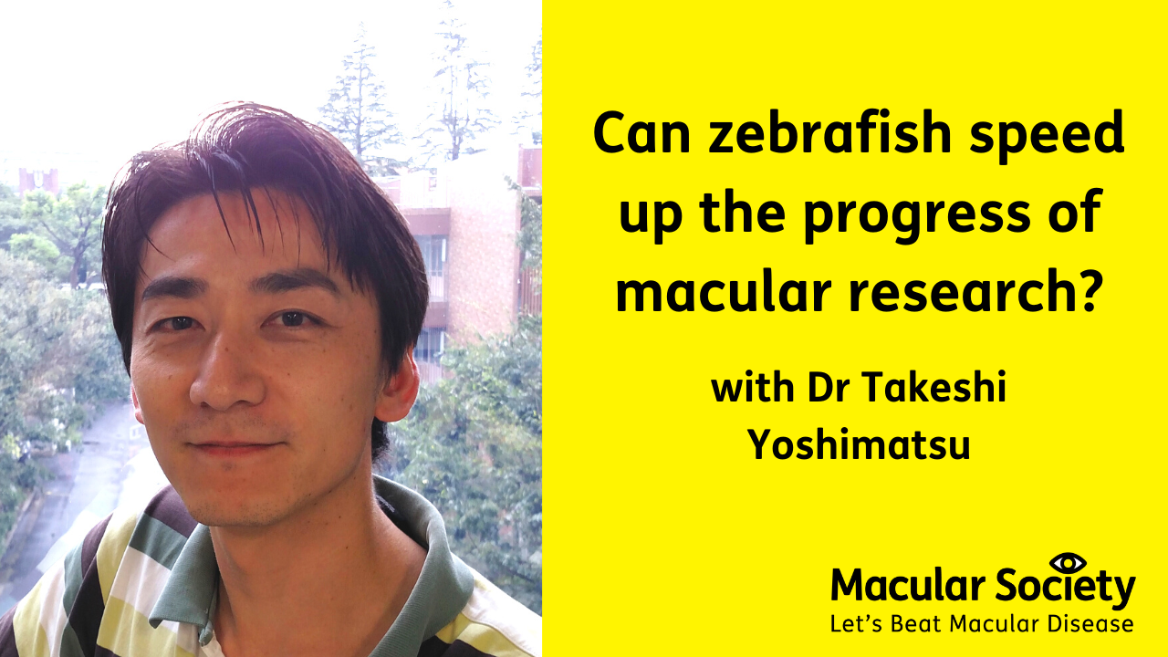 Zebra fish research with Dr Takeshi Yoshimatsu