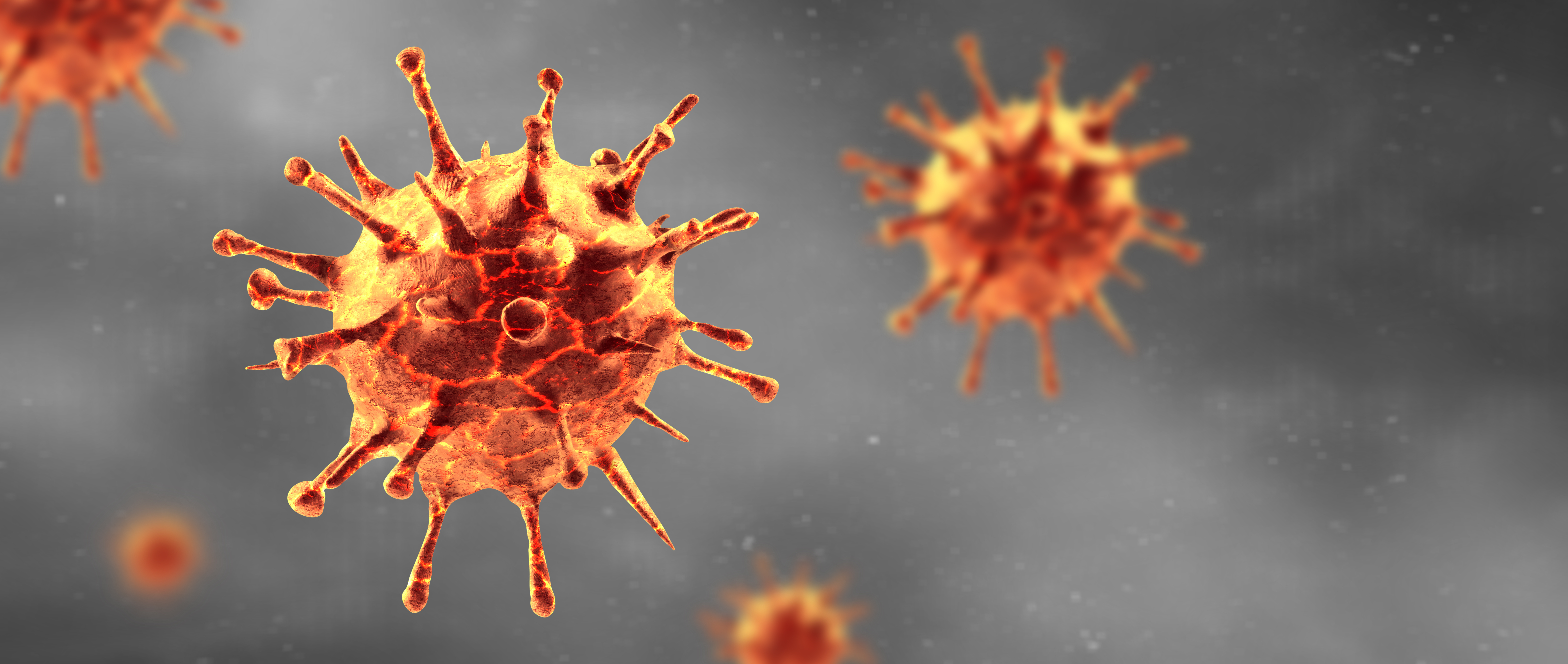 Coronavirus 