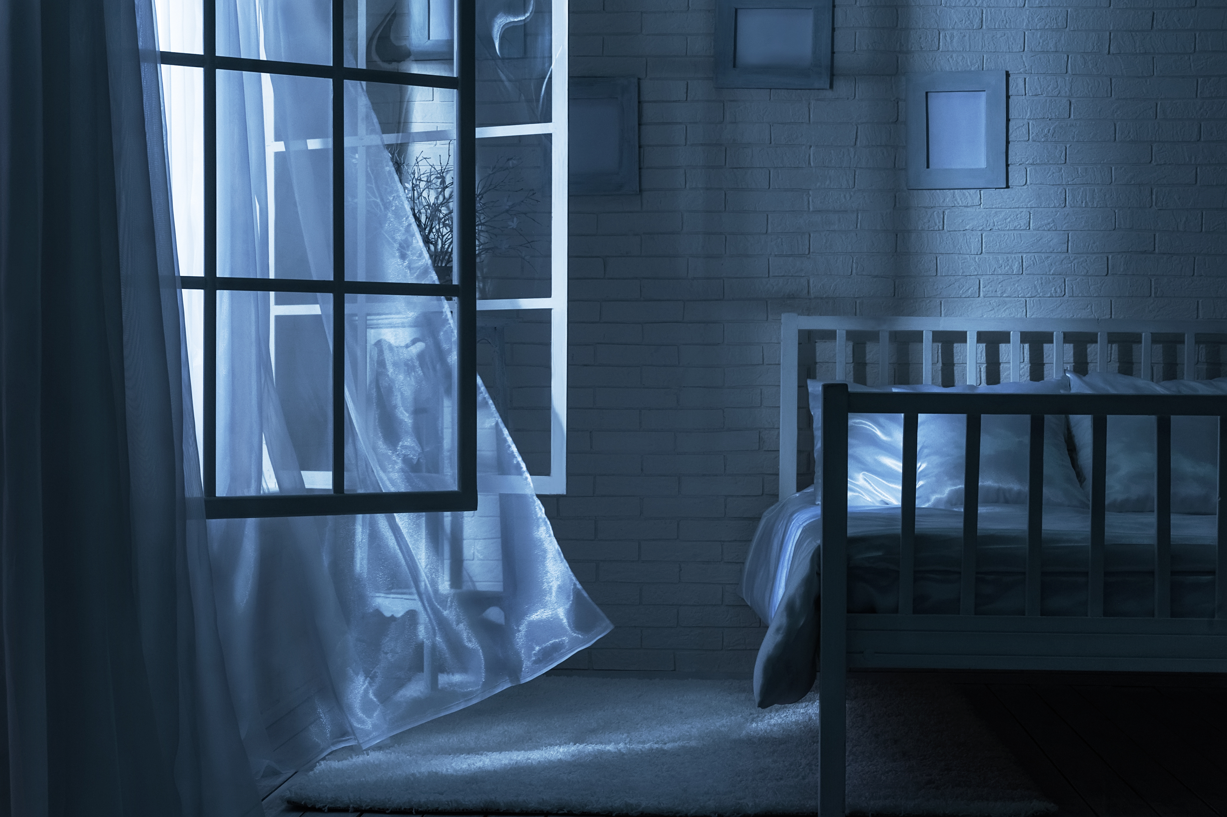 Bedroom Window, Charles Bonnet