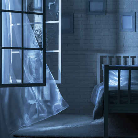 Bedroom Window, Charles Bonnet