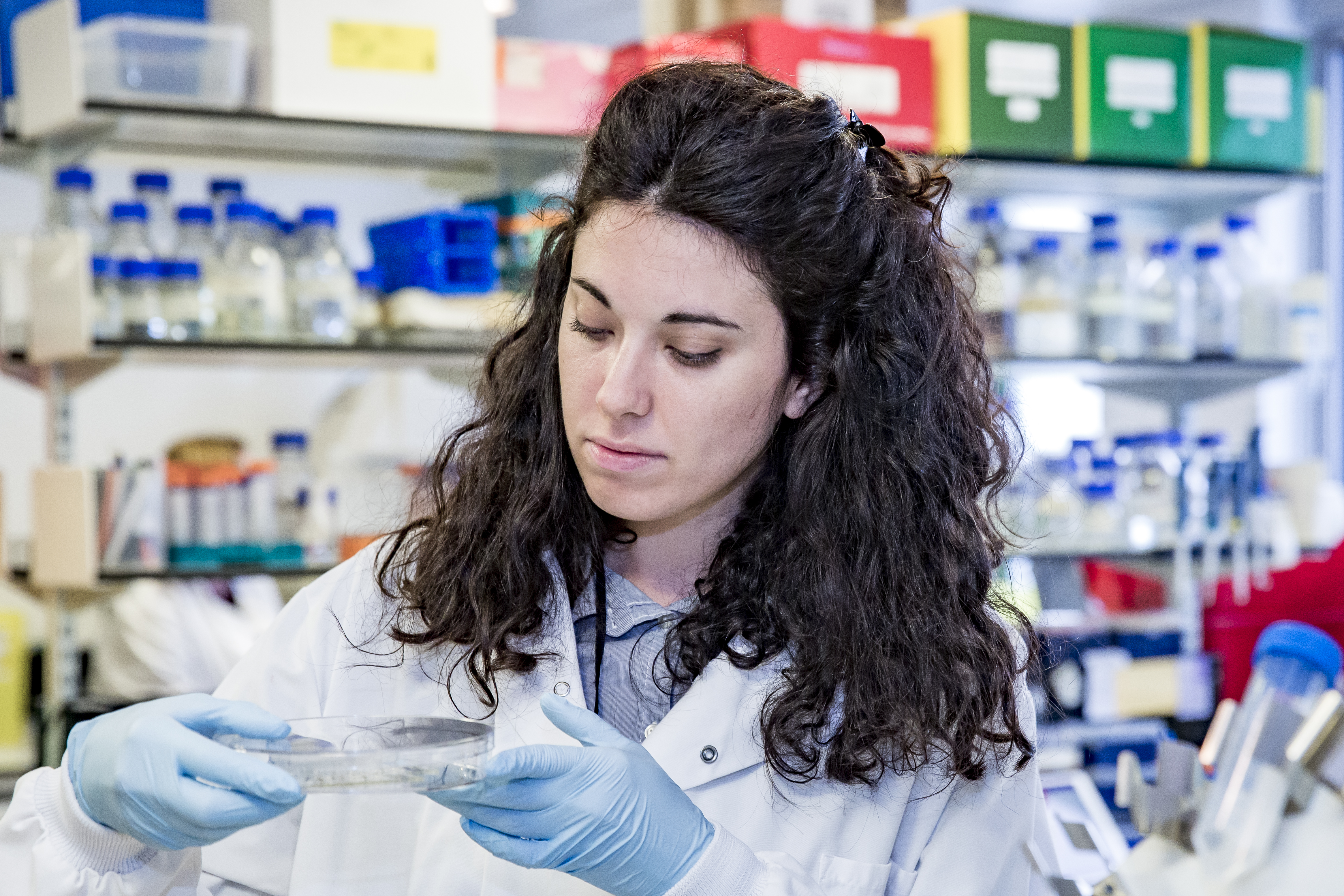 Researcher in laboratory with petri dish