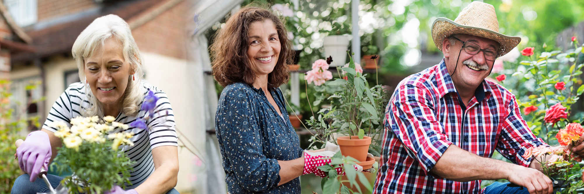 Gardening primary image