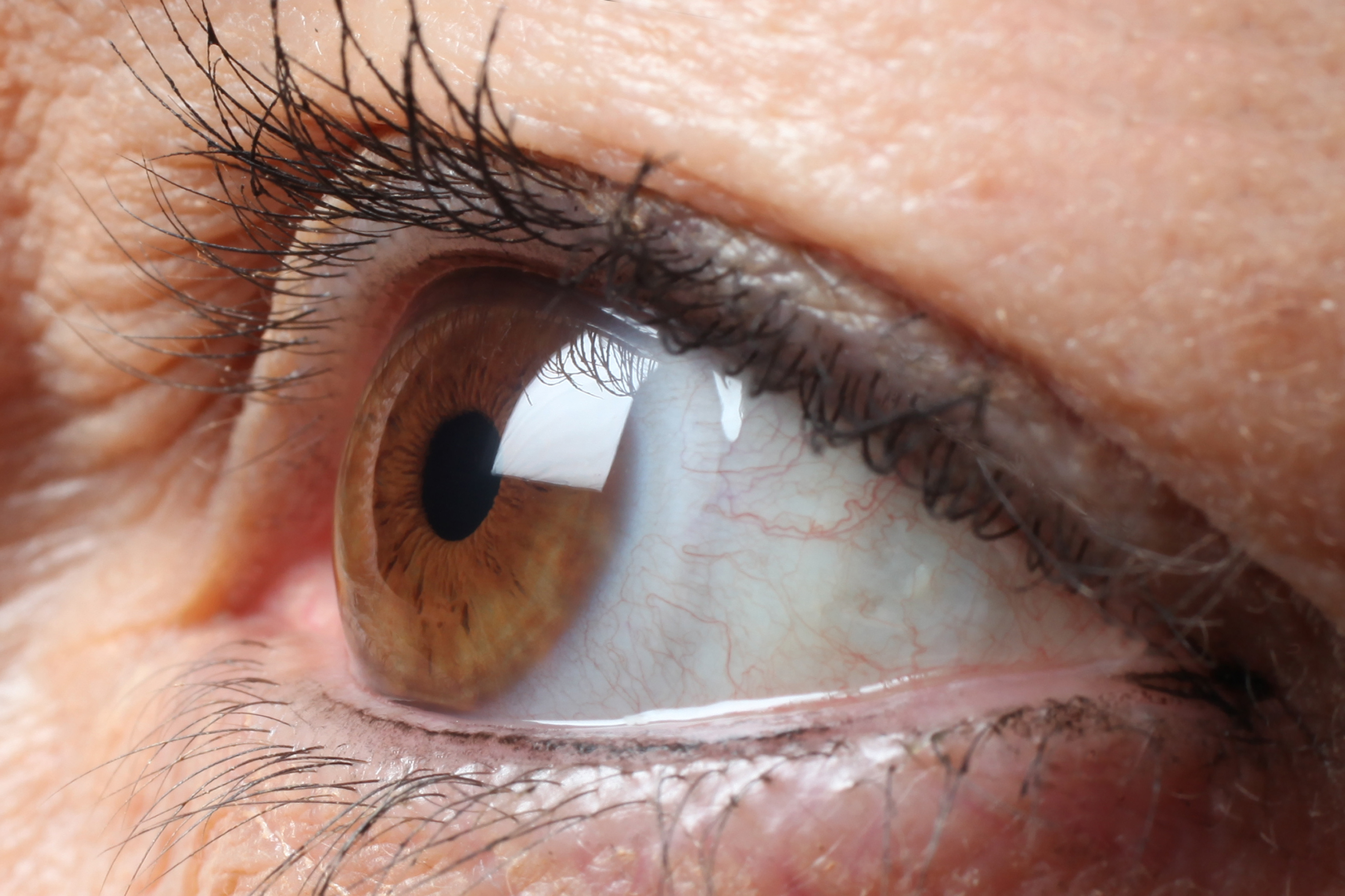Close up brown eye looking right