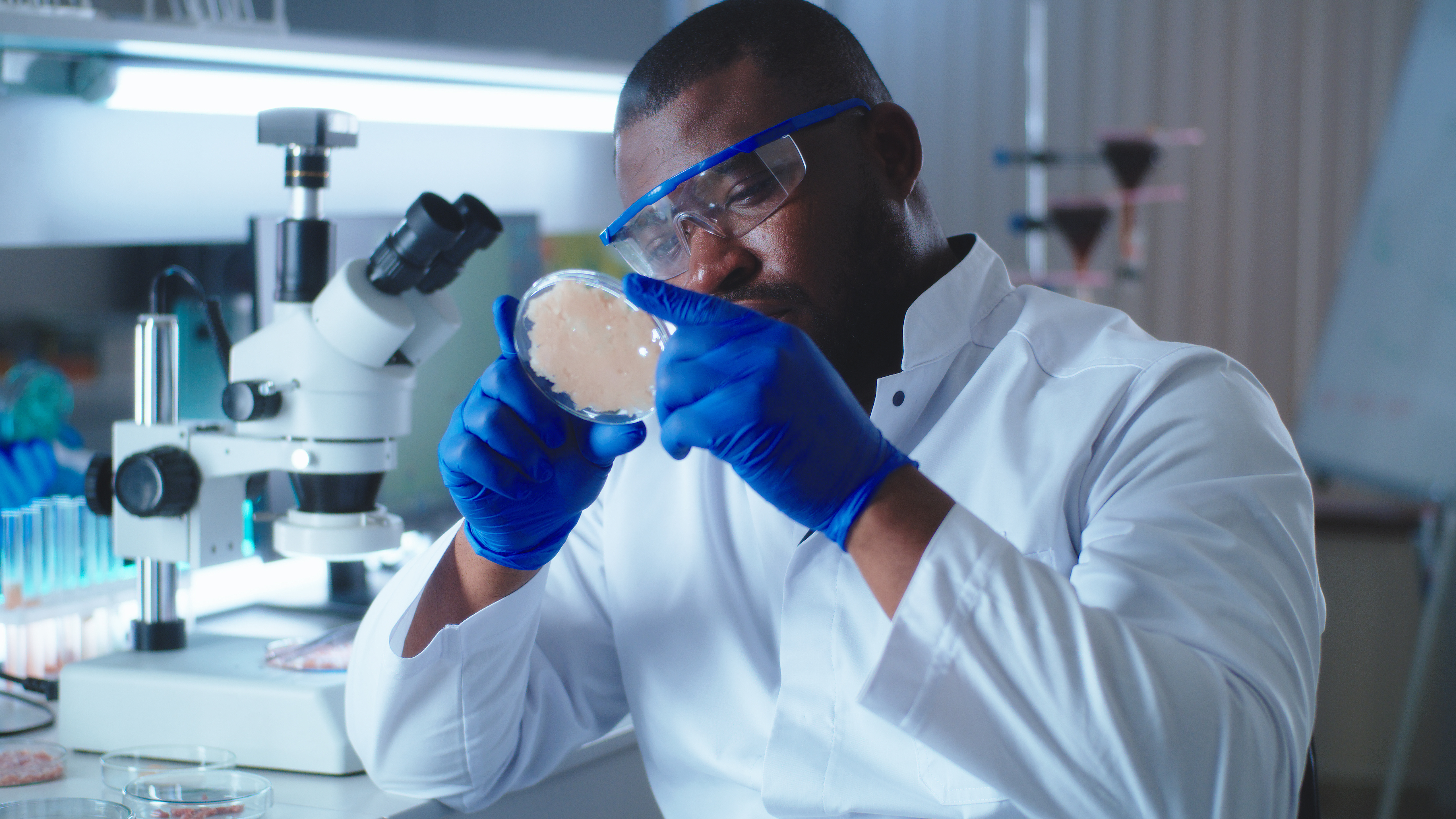 scientist in laboratory 