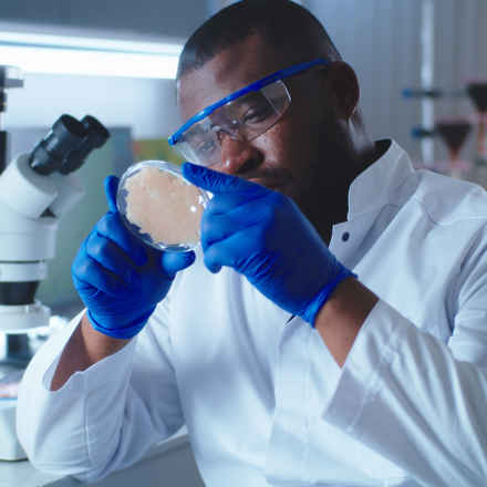 scientist in laboratory 