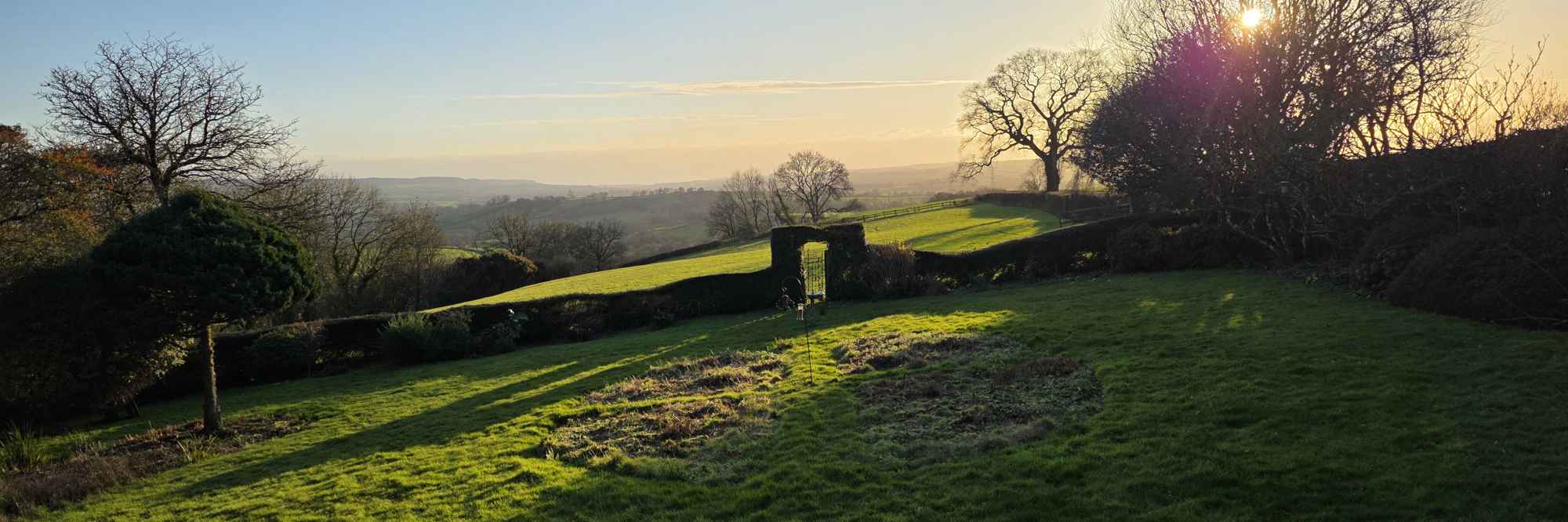 UI Test — Blocks Showcase primary image